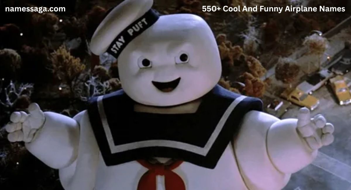 funny-airplane-names