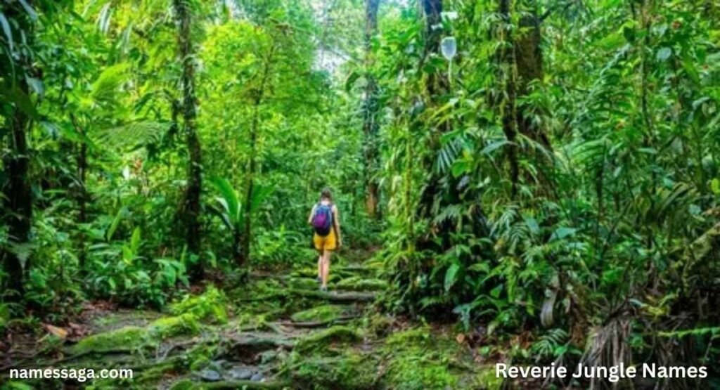 Reverie Jungle Names