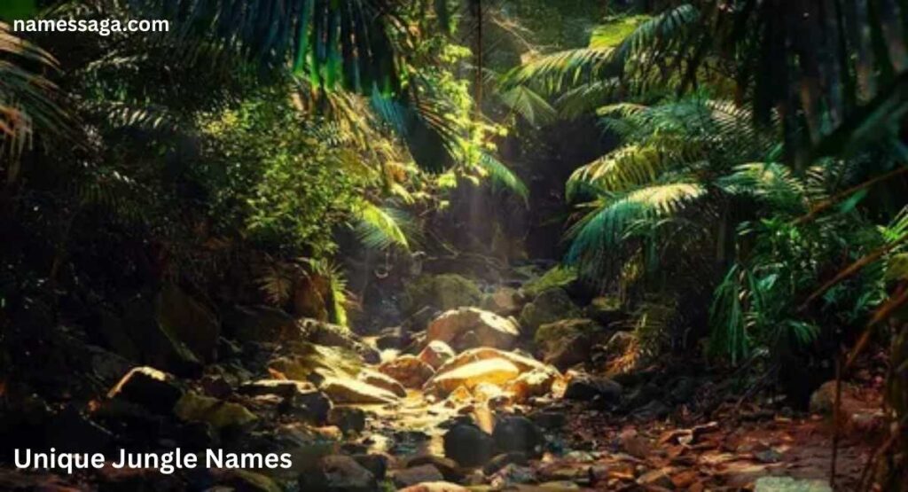 Unique Jungle Names