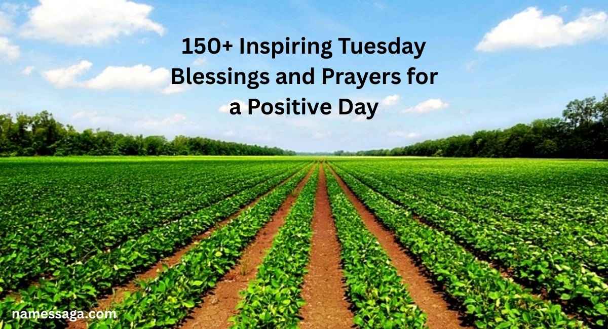 Tuesday Blessings
