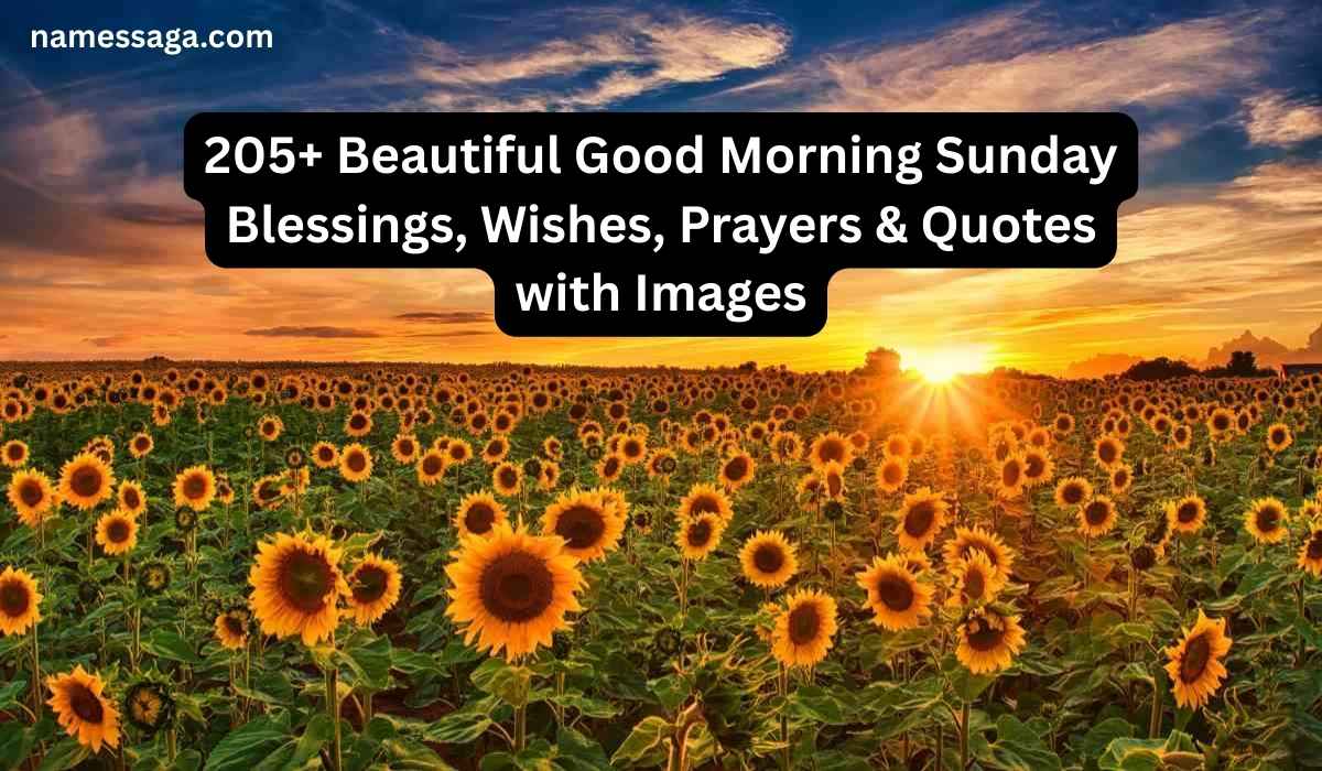 Beautiful Good Morning Sunday Blessings