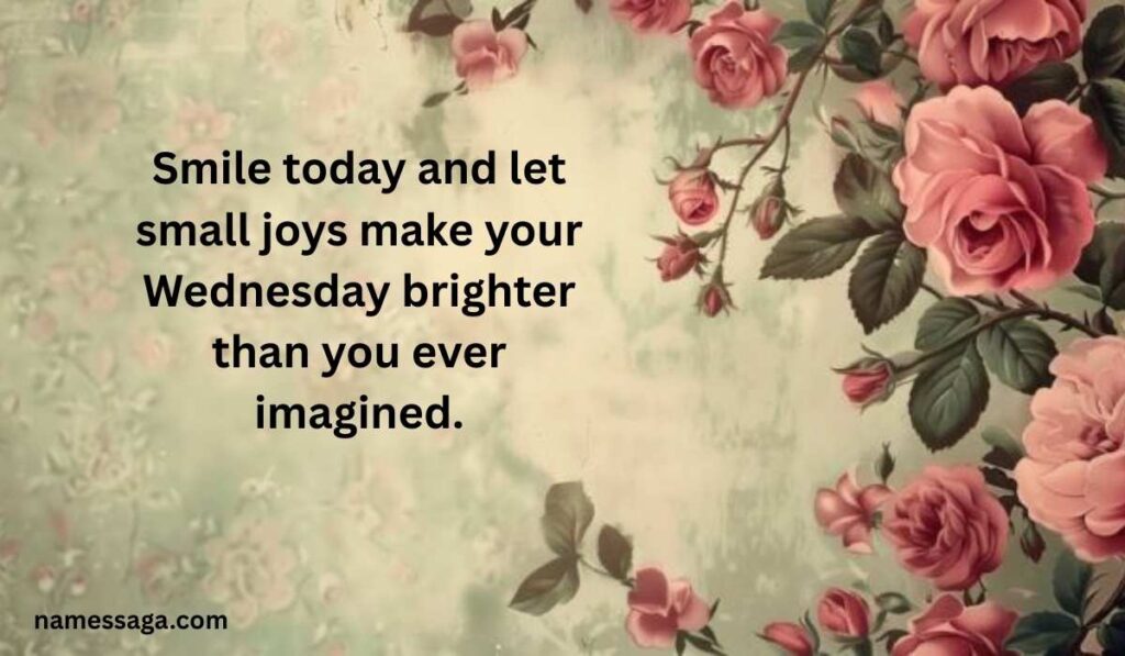 Cute and Funny Wednesday Blessings