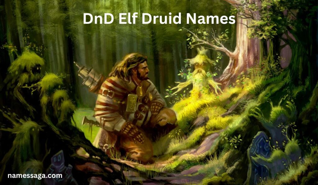 DnD Elf Druid Names