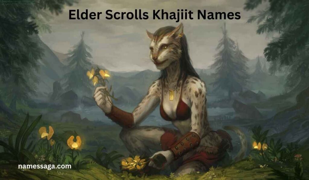 Elder Scrolls Khajiit Names