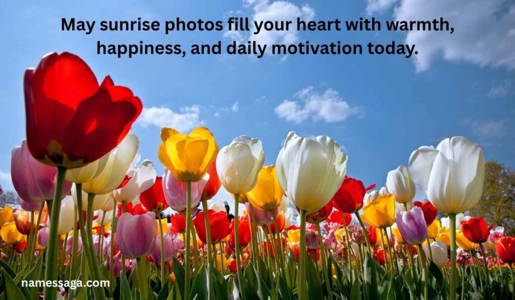 Good Morning Tuesday Blessings Images