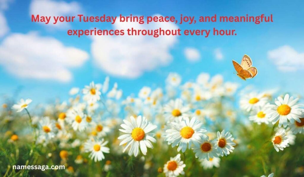 Good Morning Tuesday Blessings Quotes