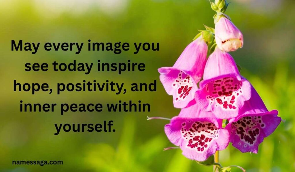 Have A Blessed Tuesday Images