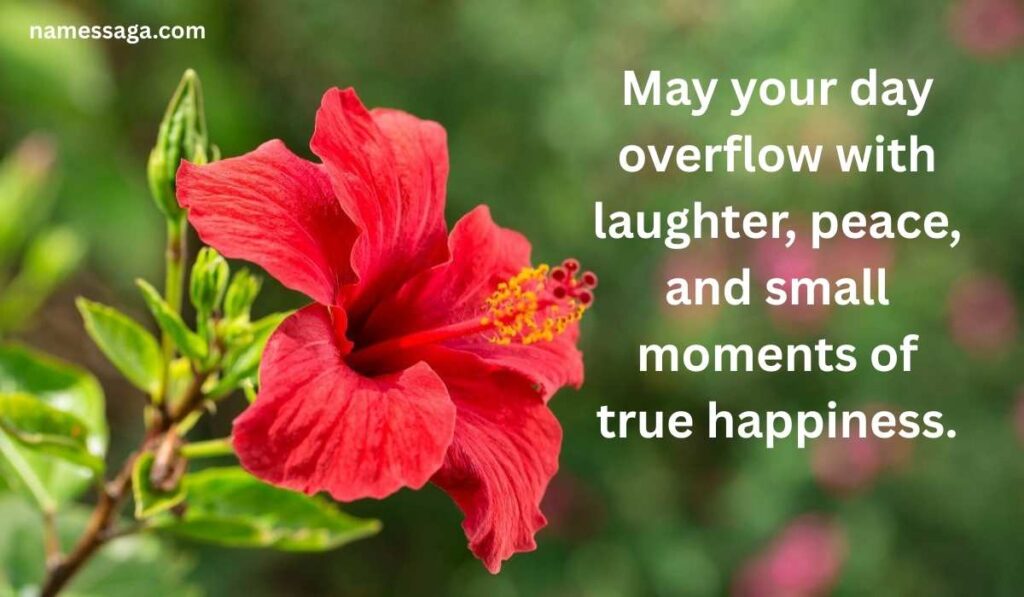 Positive Good Morning Tuesday Blessings